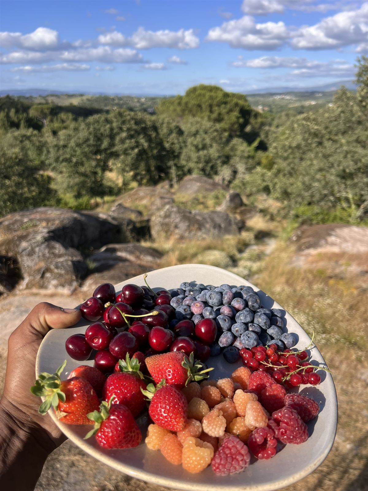 A bowl of fresh blueberries, strawberries and cherries held up in front of the view.